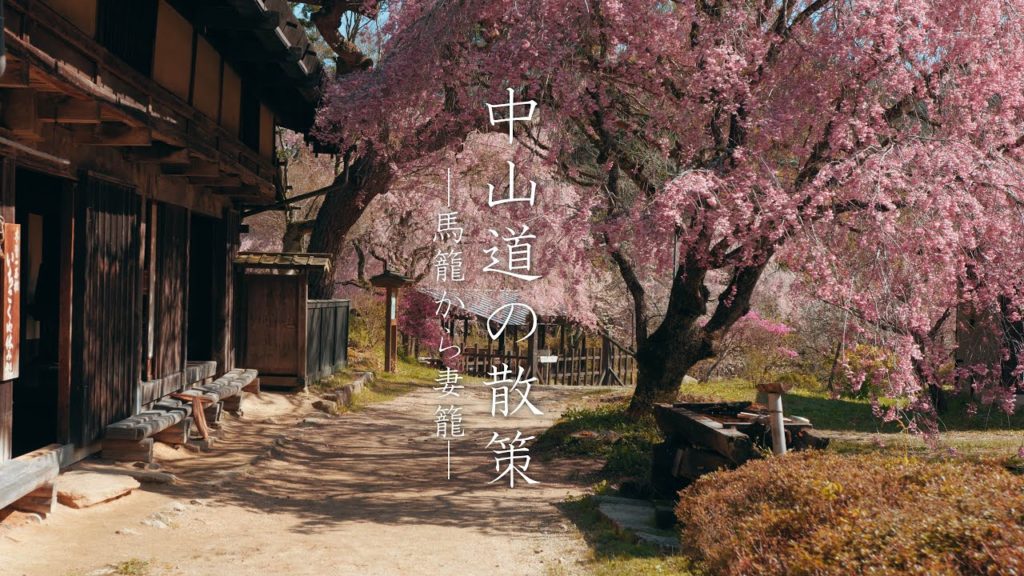 【中山道の桜】馬籠から妻籠への道のり :【Samurai Trail】Walking the Nakasendo from Magome to Tsumago（Gifu-Nagano, Japan）